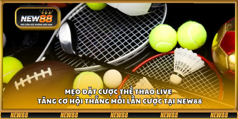 Mẹo đặt cược thể thao live – Tăng cơ hội thắng mỗi lần cược tại New88