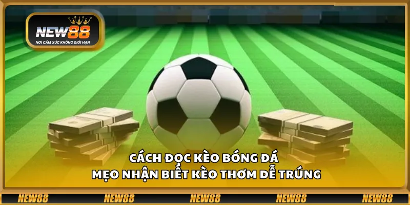 Cách đọc kèo bóng đá – Mẹo nhận biết kèo thơm dễ trúng